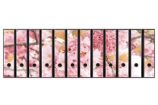 codiarts. 12 Ordnerrücken